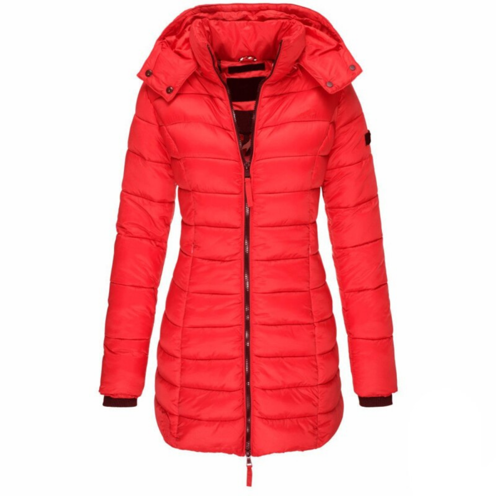 Hooded Down Jacket with Zipper – Casual Wear, Outdoor Activities