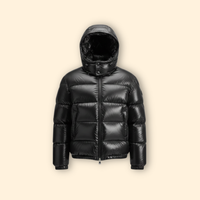 Sleek Hooded Puffer Jacket – Winter Fashion, Outdoor Activities