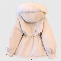 Women's Padded Wind & Water-Resistant Jacket